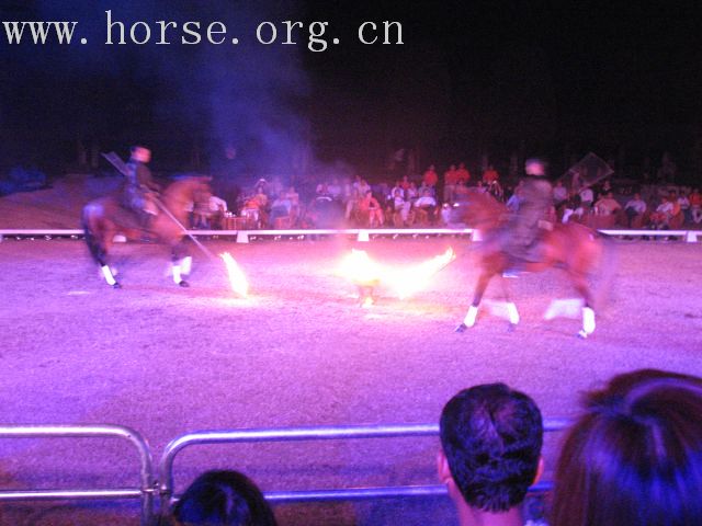 再谈泰国＂Passionata Horse Show＂