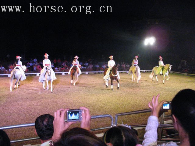 再谈泰国＂Passionata Horse Show＂