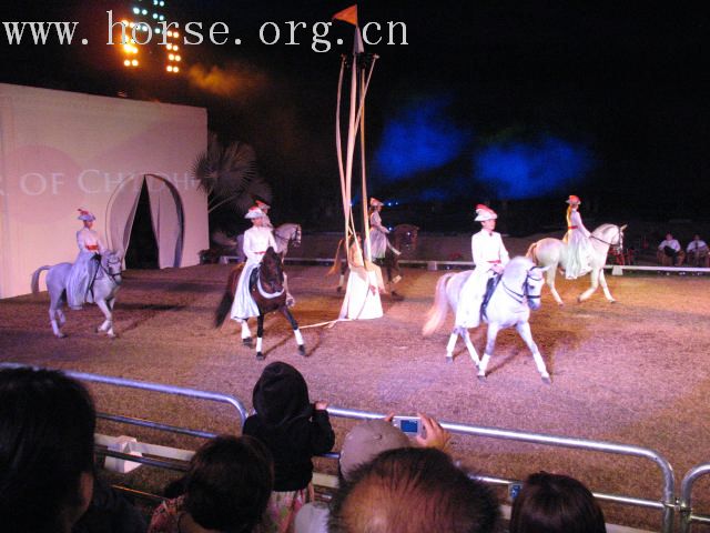 再谈泰国＂Passionata Horse Show＂