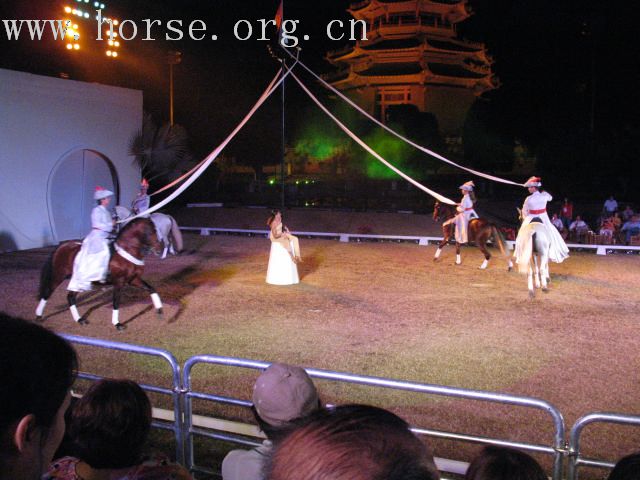 再谈泰国＂Passionata Horse Show＂