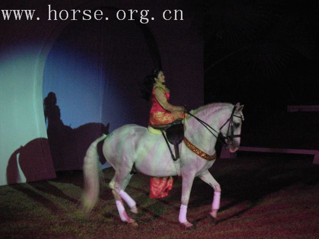 再谈泰国＂Passionata Horse Show＂