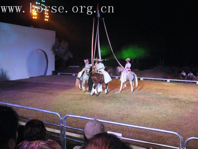 再谈泰国＂Passionata Horse Show＂