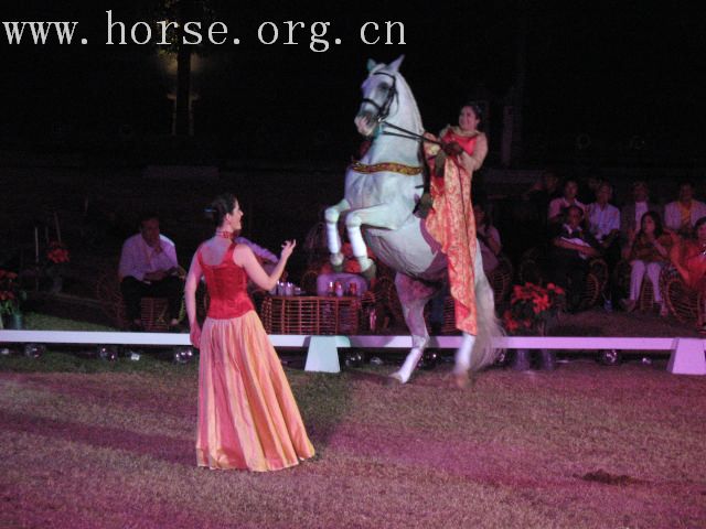 再谈泰国＂Passionata Horse Show＂