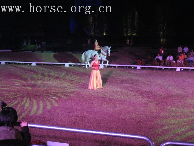 再谈泰国＂Passionata Horse Show＂