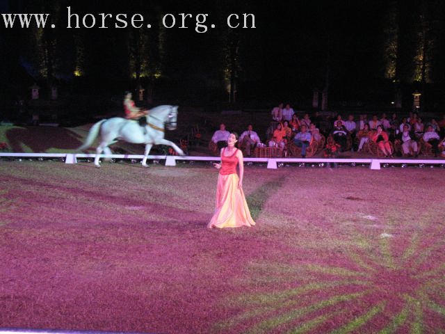 再谈泰国＂Passionata Horse Show＂