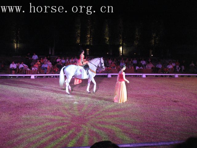 再谈泰国＂Passionata Horse Show＂