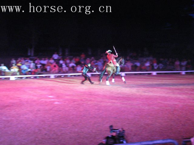 再谈泰国＂Passionata Horse Show＂