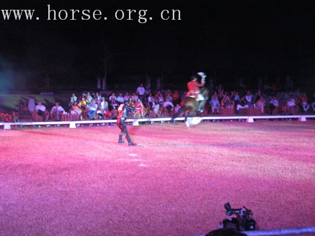 再谈泰国＂Passionata Horse Show＂