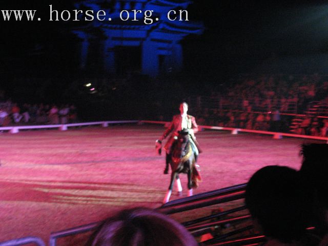 再谈泰国＂Passionata Horse Show＂