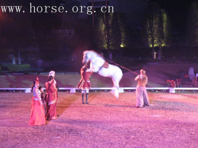 再谈泰国＂Passionata Horse Show＂