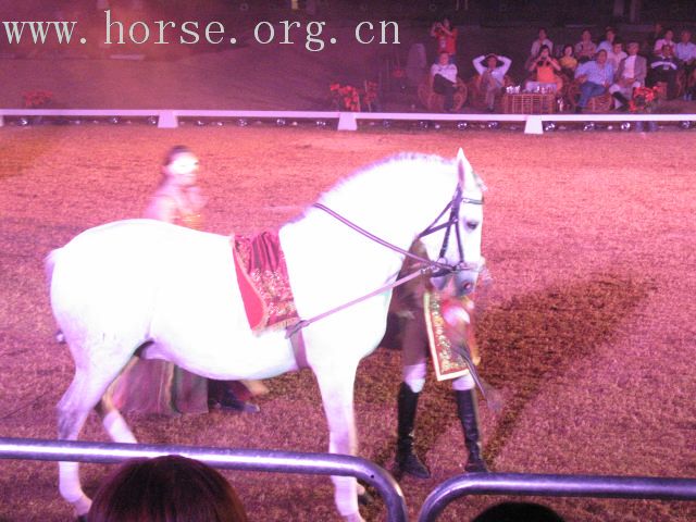 再谈泰国＂Passionata Horse Show＂