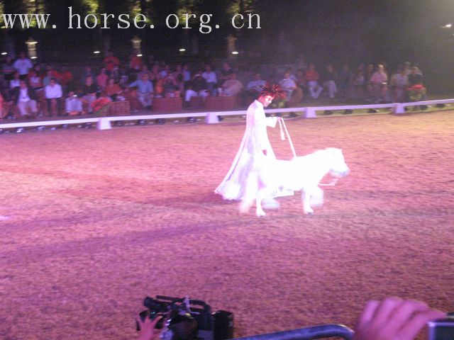 再谈泰国＂Passionata Horse Show＂