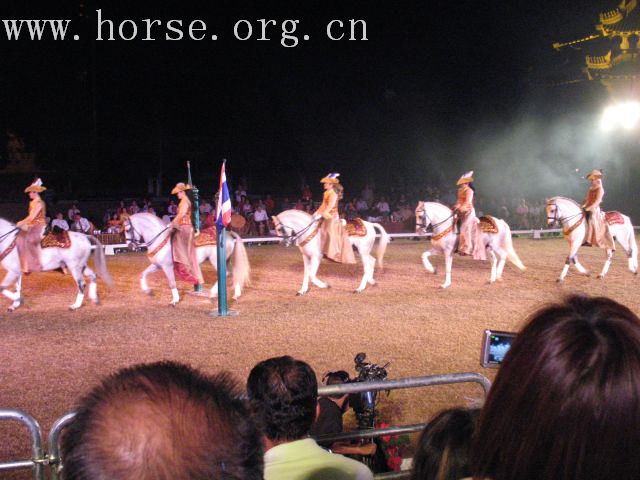 再谈泰国＂Passionata Horse Show＂