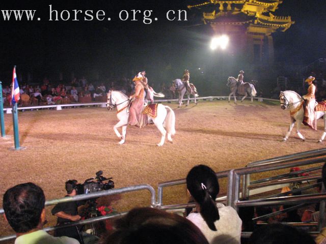 再谈泰国＂Passionata Horse Show＂