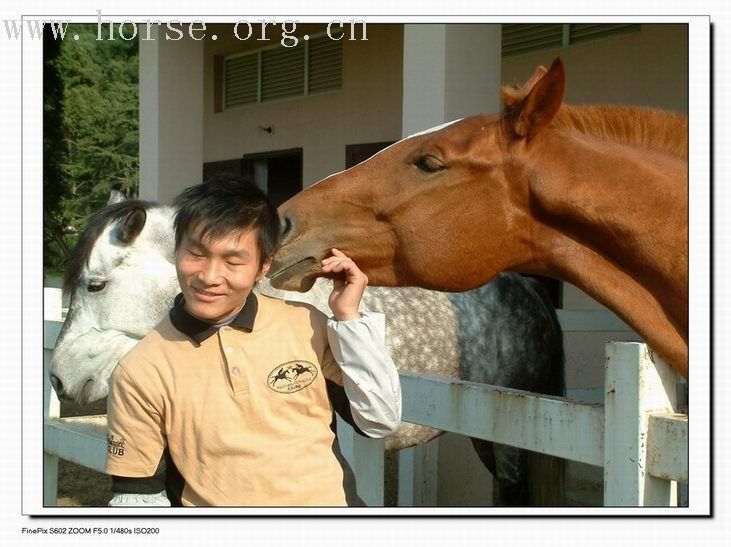 乘着风的翅膀 -------我心飞翔－....平湖九龙山马会行（大结局）[长]