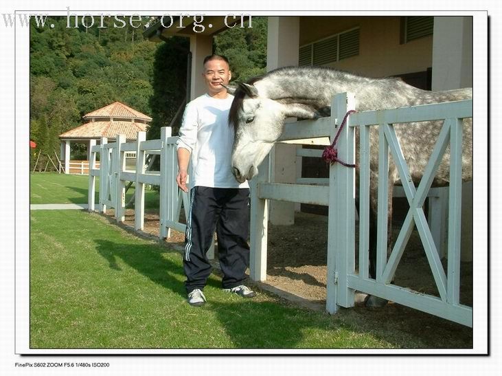 乘着风的翅膀 -------我心飞翔－....平湖九龙山马会行（大结局）[长]