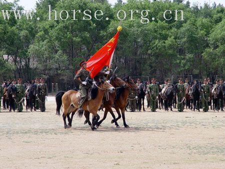 呼吁各马场开设骑兵项目训练。大家都来学学斩劈吧