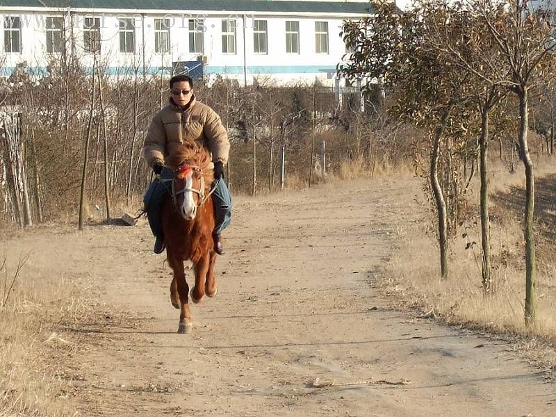 野骑好，骣骑妙，安全最重要！