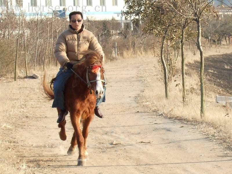 [贴图]野骑好，骣骑妙，安全最重要！