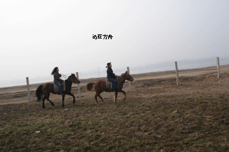 马背新年