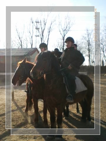 通骁马会2.4日学习骑马