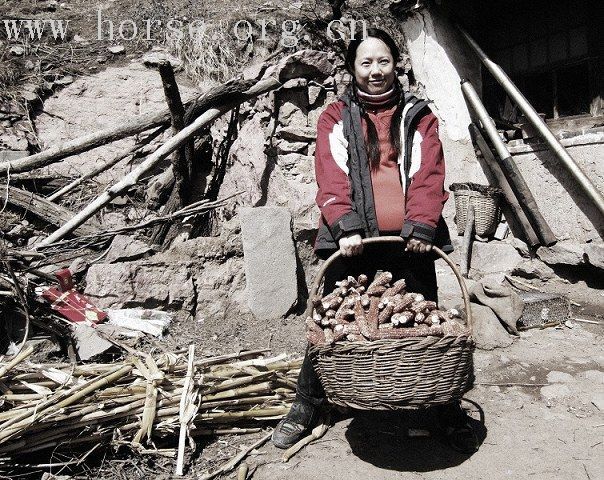 马背蠡趣－记录点滴马背生活