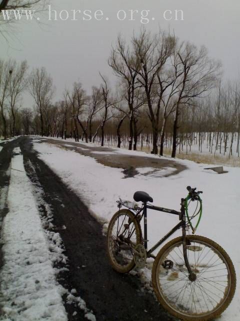 [贴图]雨后雪中行