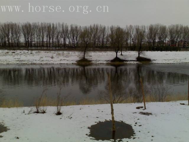 [贴图]雨后雪中行