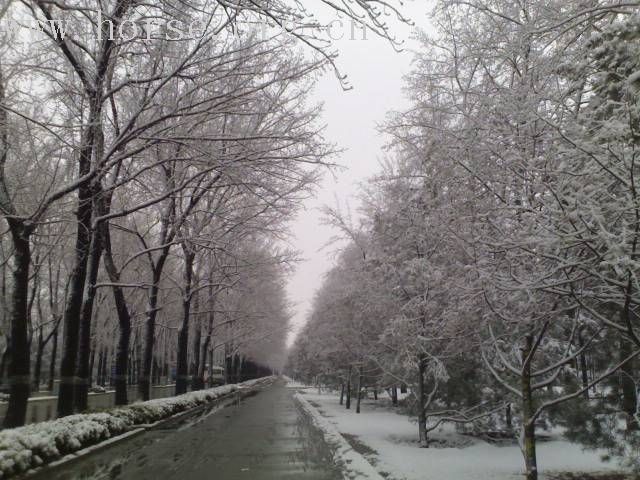 [贴图]雨后雪中行