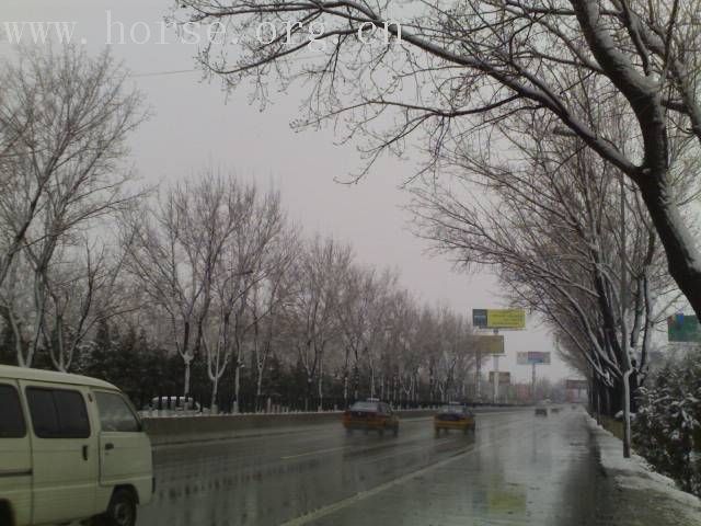 [贴图]雨后雪中行