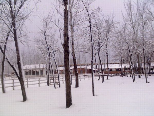 爱马士2007的第一场雪