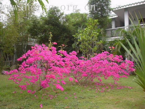 [贴图]春节海南行照片集