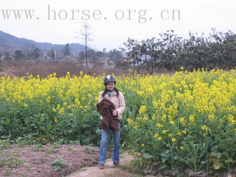 3月3马帮骑游洛带玉带湖及马友生日会