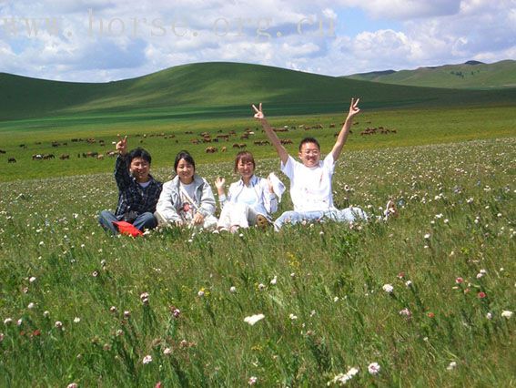 发个帖子提提人气——内蒙红山军马场