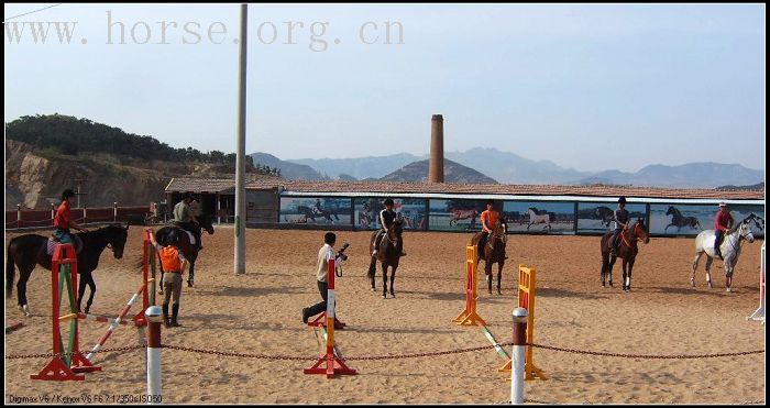 5.2首届青岛沙滩障碍赛