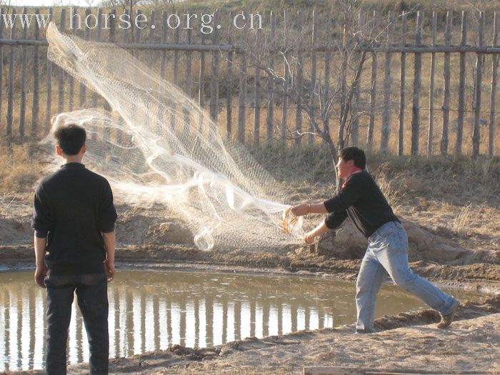 2007潮海照片（三）