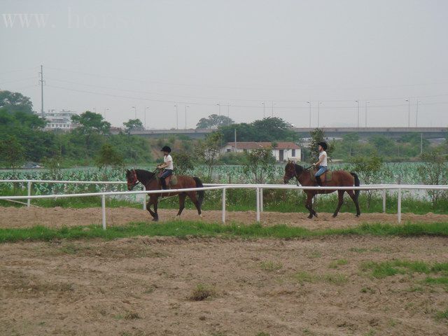 义乌马场图片