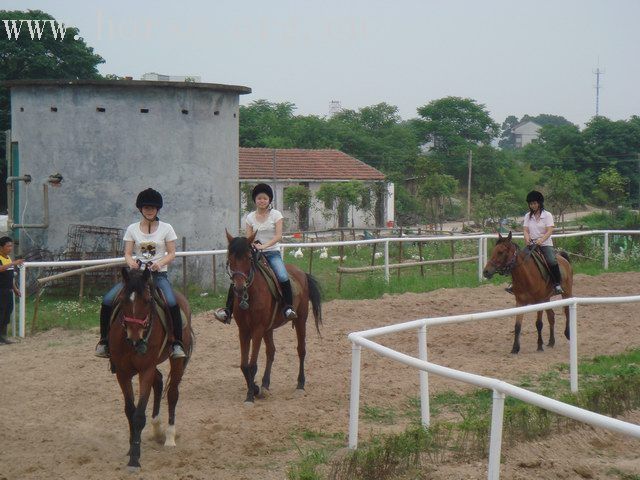 义乌马场图片