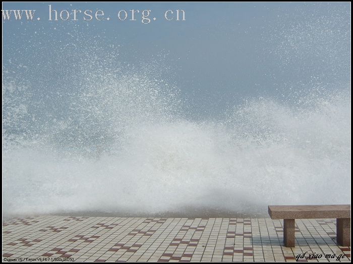 惊涛骇浪----美丽的青岛海边