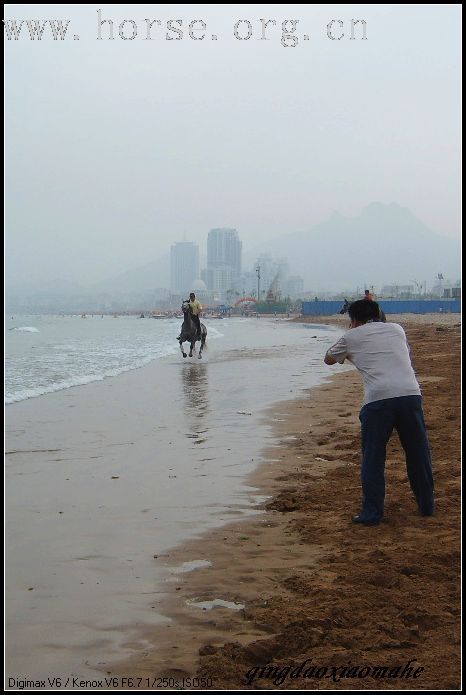 大海边骑马狂奔..........