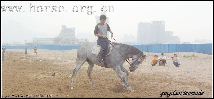 大海边骑马狂奔..........