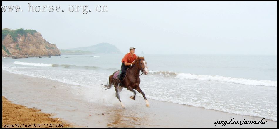 大海边骑马狂奔..........