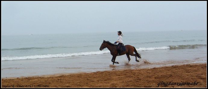 大海边骑马狂奔..........