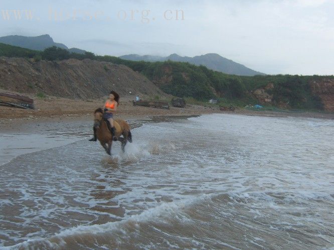 凤凰山庄照片收集帖