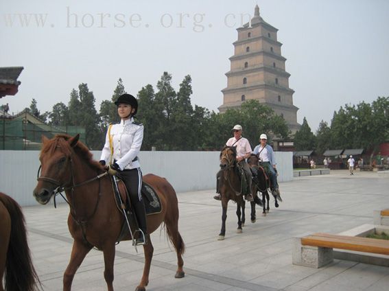 中国骑马行----芬兰两骑手与西安马术俱乐部技术交流活动照片~