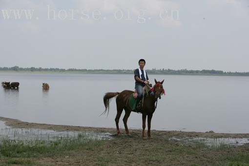 大青沟处女湖骑士