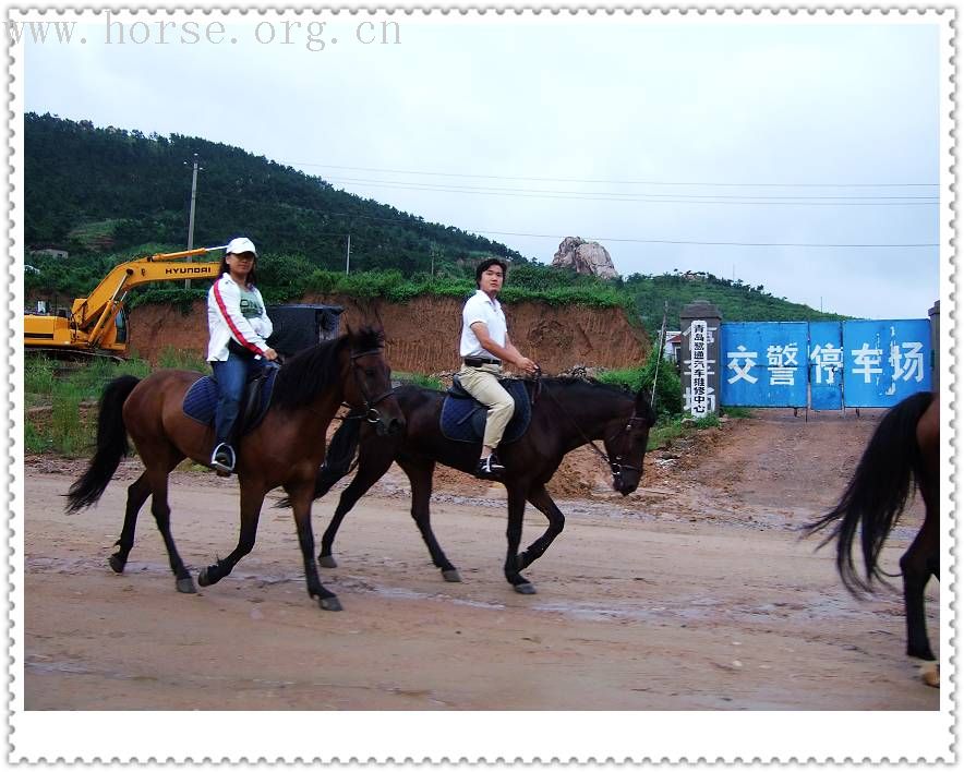 [贴图]马友联盟马友做客青岛凤凰山庄马术俱乐部实录---26号照片最新更新