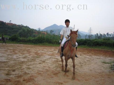 梅林關外的一個馬場