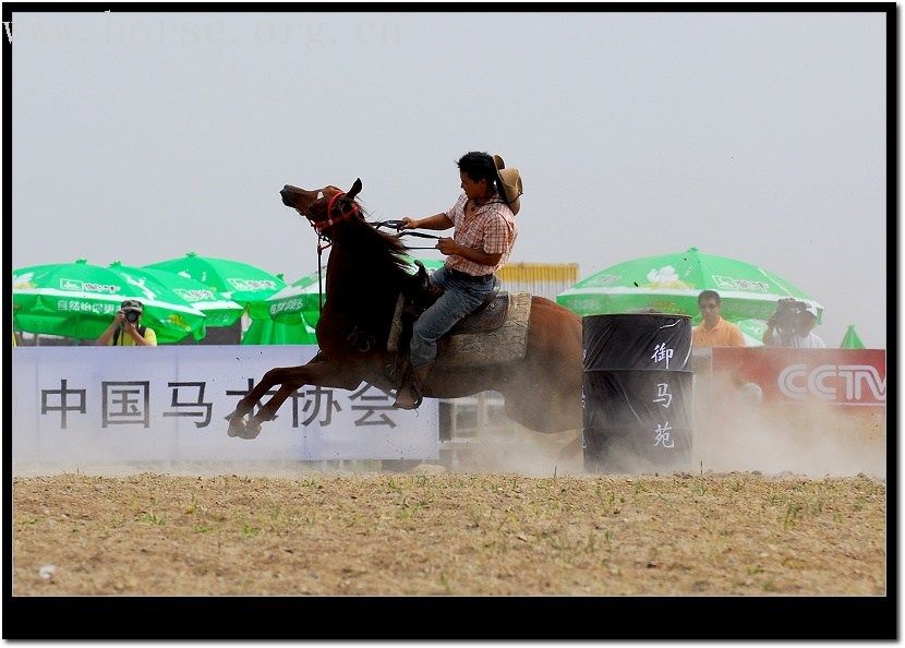 太仆寺旗第二届全国马术绕桶冠军赛随拍