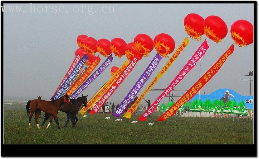 太仆寺旗第二届全国马术绕桶冠军赛随拍